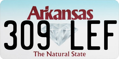 AR license plate 309LEF
