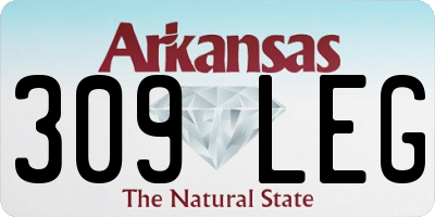 AR license plate 309LEG