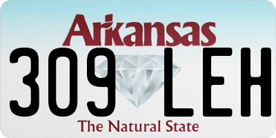 AR license plate 309LEH