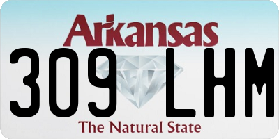 AR license plate 309LHM