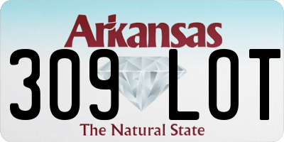 AR license plate 309LOT