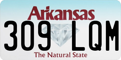 AR license plate 309LQM