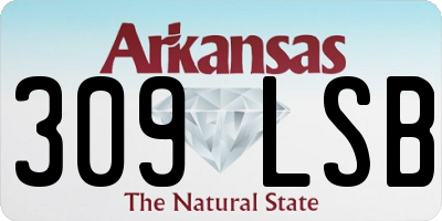 AR license plate 309LSB