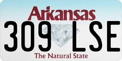 AR license plate 309LSE