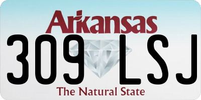 AR license plate 309LSJ