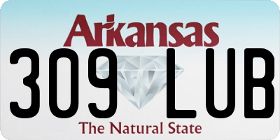 AR license plate 309LUB