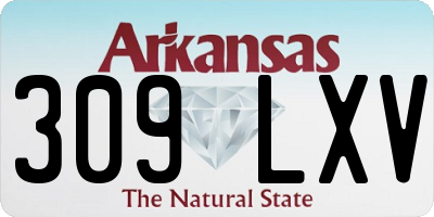 AR license plate 309LXV