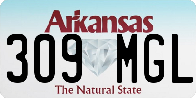 AR license plate 309MGL