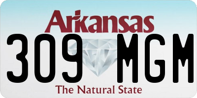 AR license plate 309MGM
