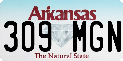 AR license plate 309MGN