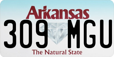 AR license plate 309MGU