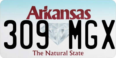 AR license plate 309MGX
