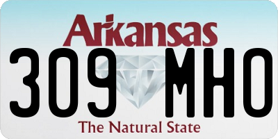 AR license plate 309MHO
