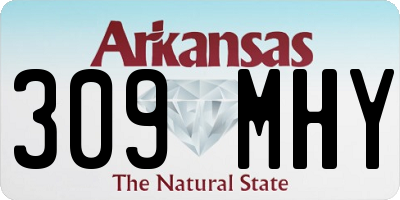 AR license plate 309MHY