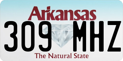 AR license plate 309MHZ