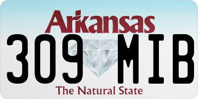 AR license plate 309MIB