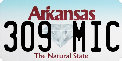 AR license plate 309MIC