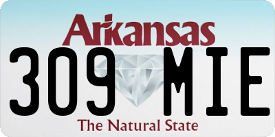AR license plate 309MIE