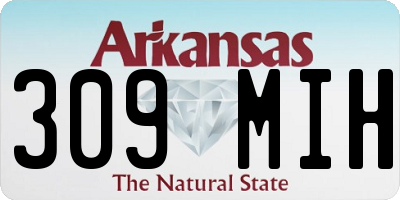 AR license plate 309MIH