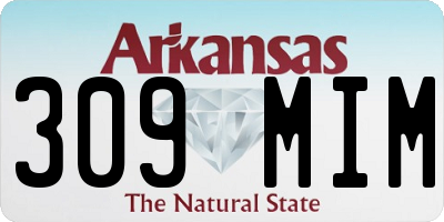 AR license plate 309MIM