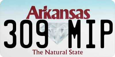 AR license plate 309MIP