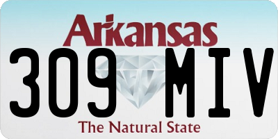 AR license plate 309MIV