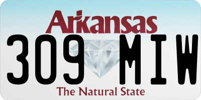 AR license plate 309MIW