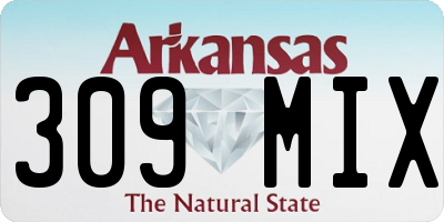 AR license plate 309MIX