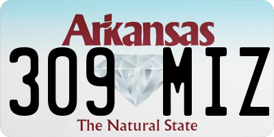 AR license plate 309MIZ