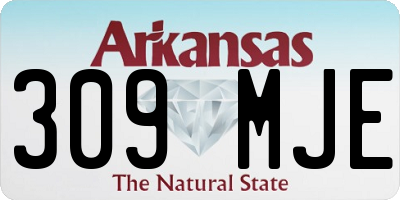 AR license plate 309MJE