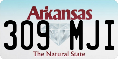AR license plate 309MJI