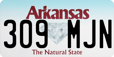 AR license plate 309MJN