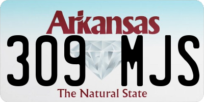 AR license plate 309MJS