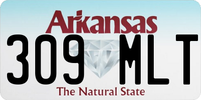 AR license plate 309MLT