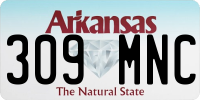 AR license plate 309MNC