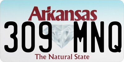 AR license plate 309MNQ