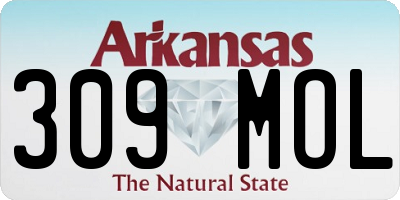 AR license plate 309MOL