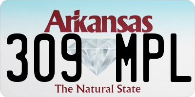 AR license plate 309MPL