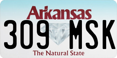 AR license plate 309MSK