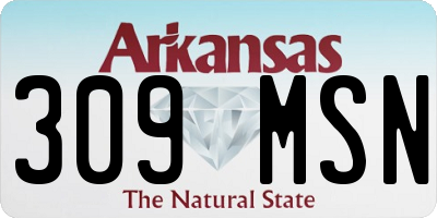 AR license plate 309MSN