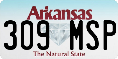 AR license plate 309MSP