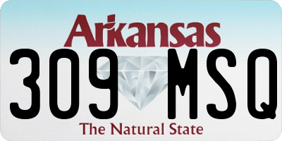 AR license plate 309MSQ