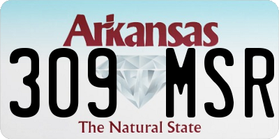 AR license plate 309MSR