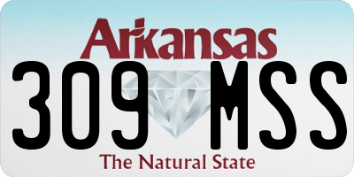 AR license plate 309MSS