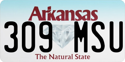 AR license plate 309MSU