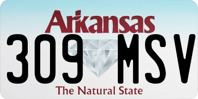 AR license plate 309MSV