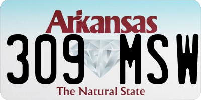AR license plate 309MSW