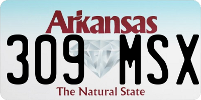 AR license plate 309MSX
