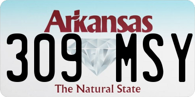 AR license plate 309MSY