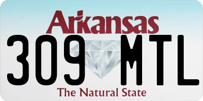AR license plate 309MTL